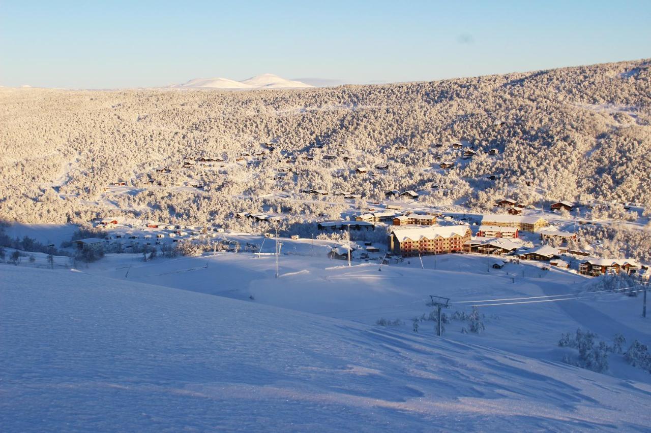 Ski Lodge Taenndalen エクステリア 写真