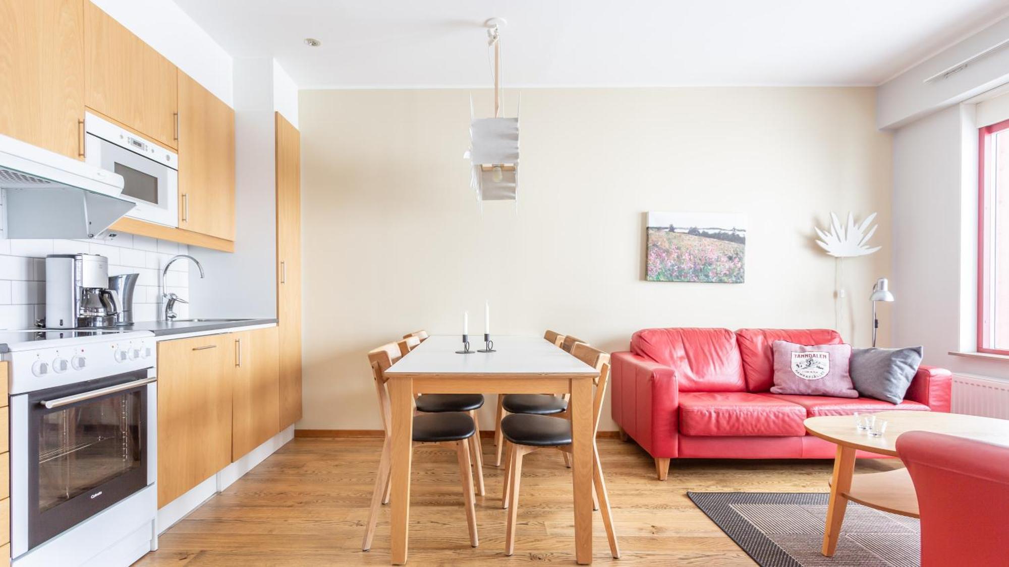Ski Lodge Taenndalen 部屋 写真